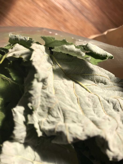 Листья малины сушеные .