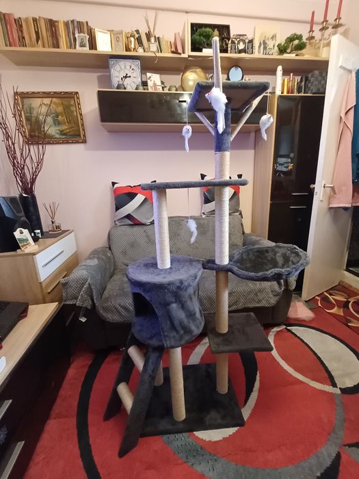 Ansamblu de joaca pentru pisici