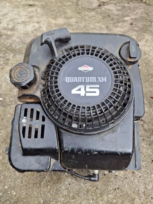 Двигател Briggs  Stratton, Бригс Страйшън