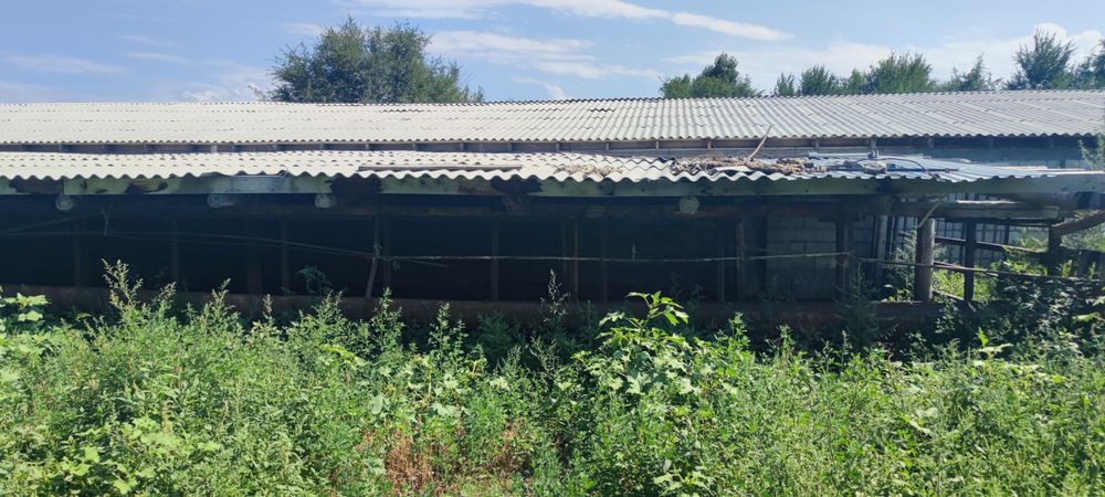 Продам Откорм базу в п Балтабай