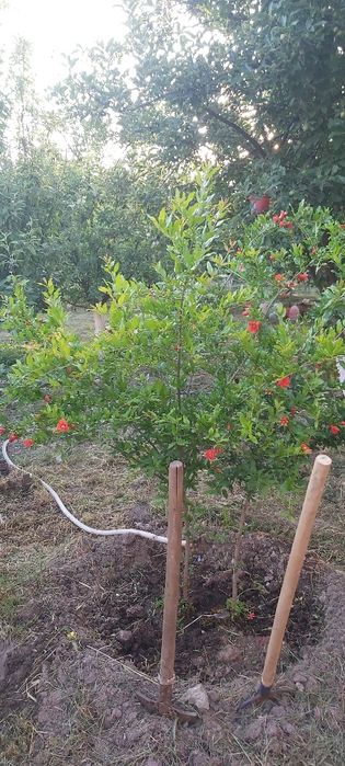 Продаётся участок