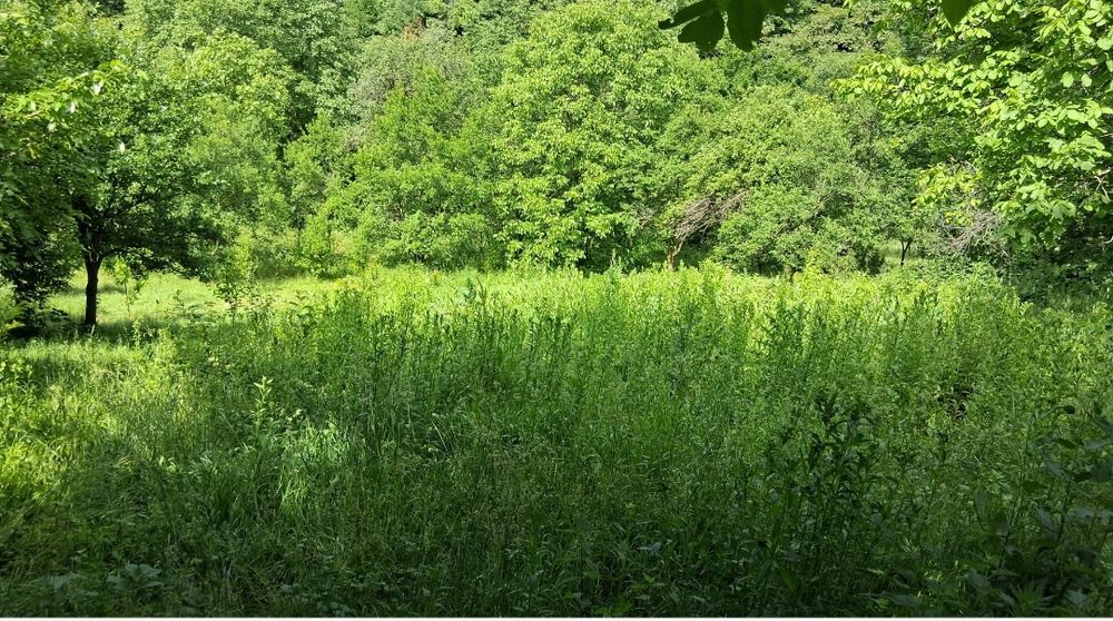 Vand teren cu casa 3 camere gratis zona munte