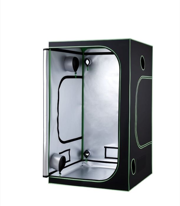 Cort  cultura hidroponica