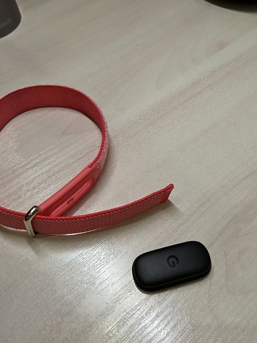Google fitbit air