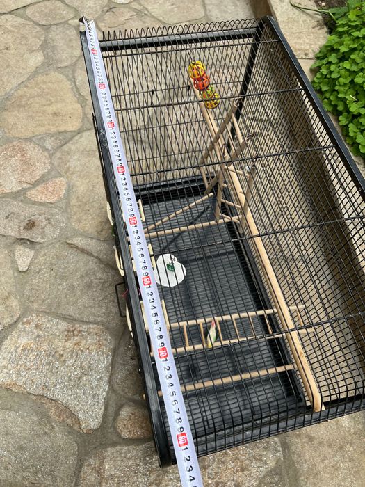 Голяма клетка папагали