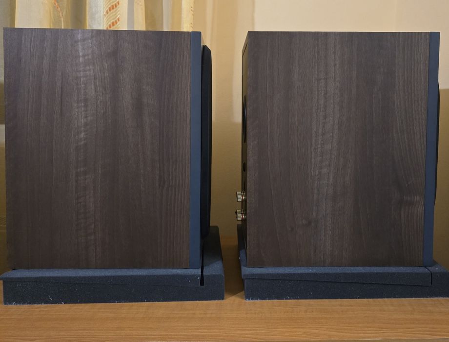 Boxe Monitor Bronze 100