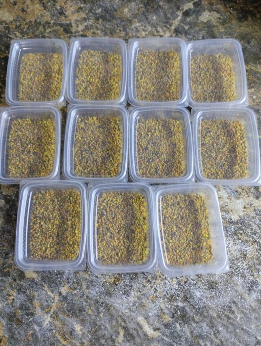 Мед со своей пасеки