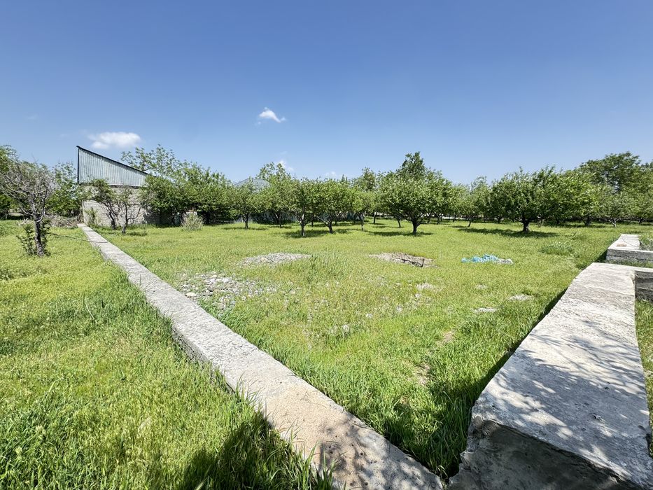 Земля на продажу 5 соток Корасув 24900$