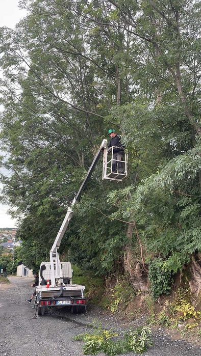 Defrisari-toaletari, curatenie terenuri, evacuat resturi