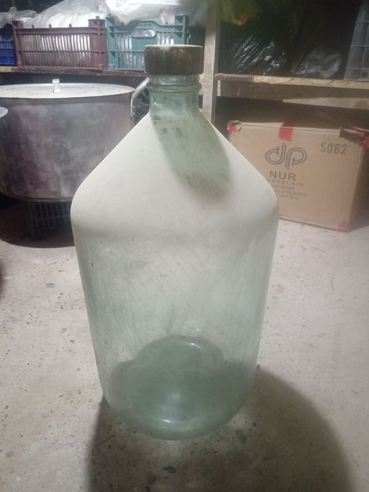 Vino idish Mashrab