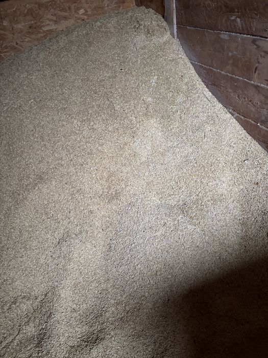 Grâu productie 2025