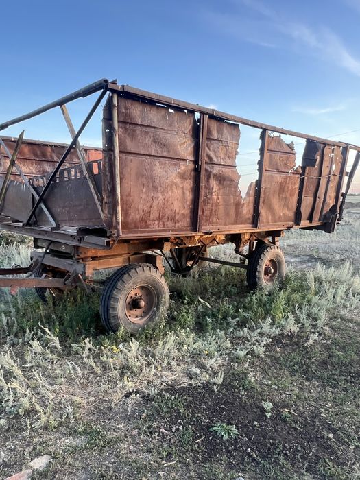 Трактор мтз 80,птс-4