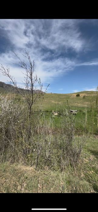 Angren Yangiobod 11 sotx yer