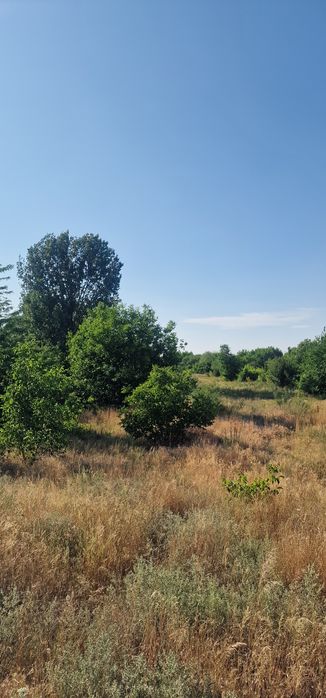 Продава се Парцел в Видин, Нов път - 23000 кв.м за 1 €/кв.м - Снимка #6