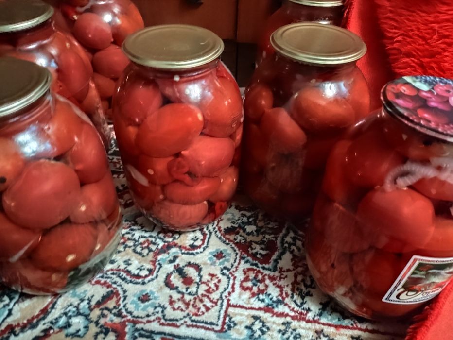 Солёные помидоры.