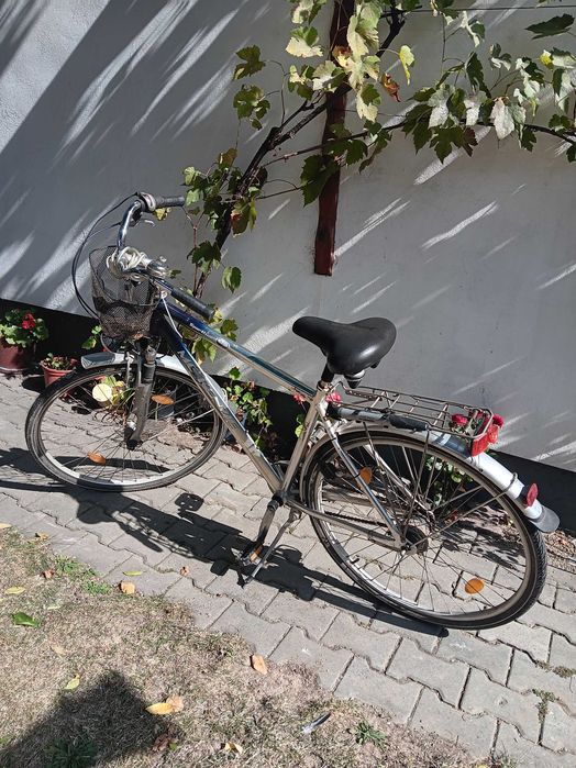 Bicicleta Mc Kenzie