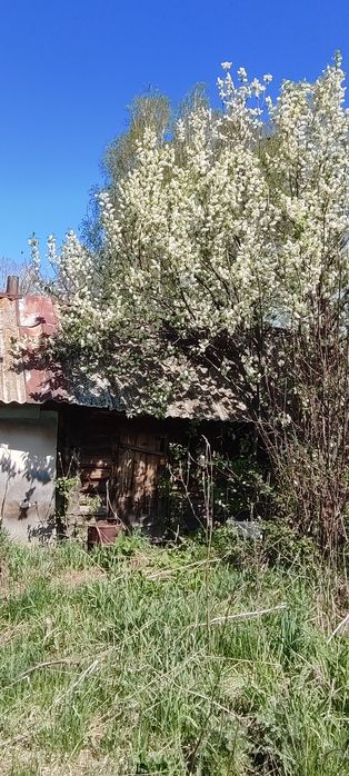 Продам участок в Топихе 25.45 соток