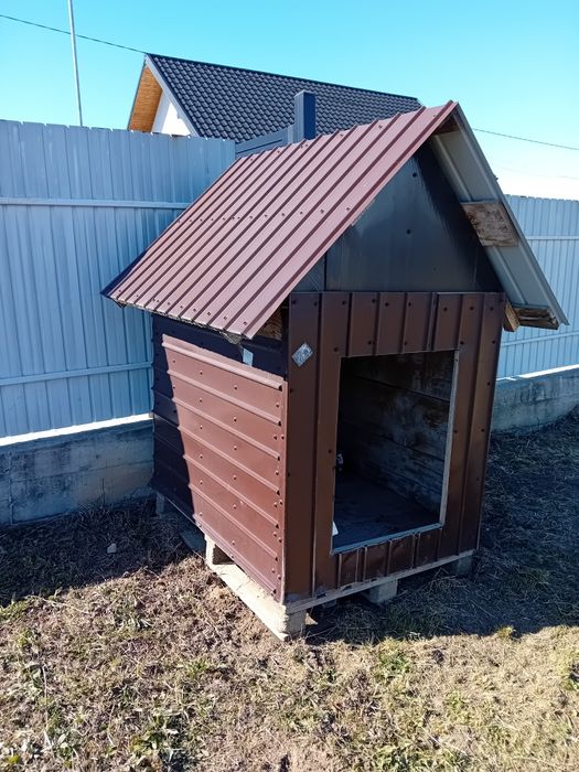 Vând coteț cățel