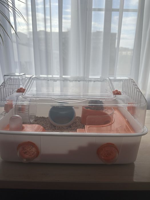 Клетка с хомяком