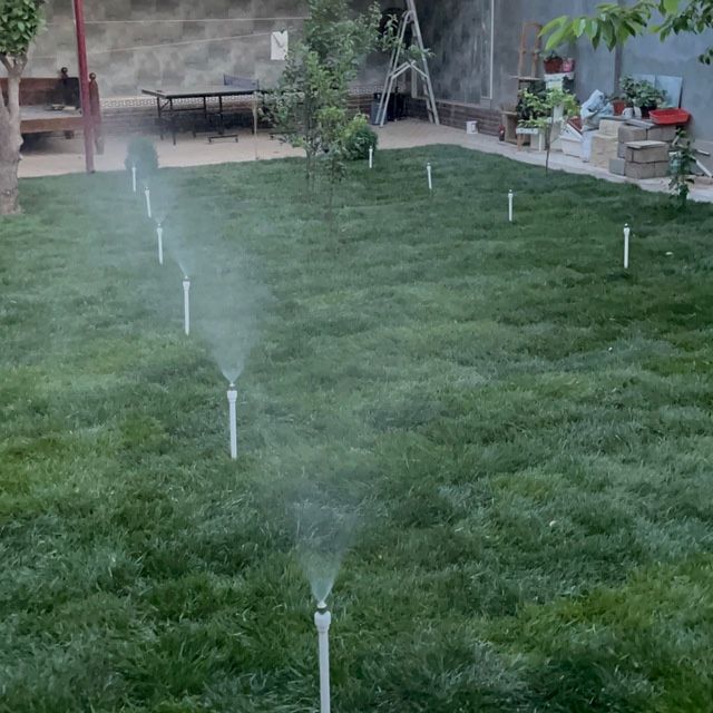 Gazon Optim Cheklanmagan Miqdorda