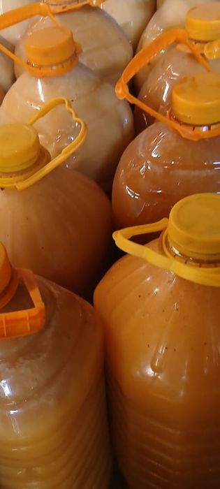 мёд подсолнух 2025