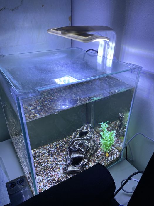 Аквариум 20л с рыбками