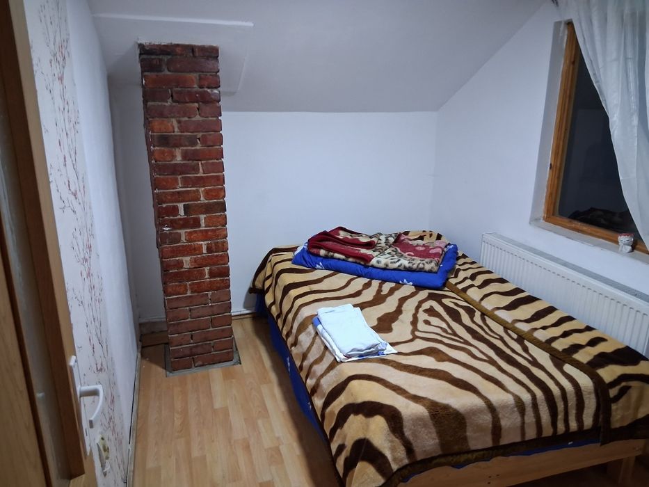 Cabana la munte  în tarcau