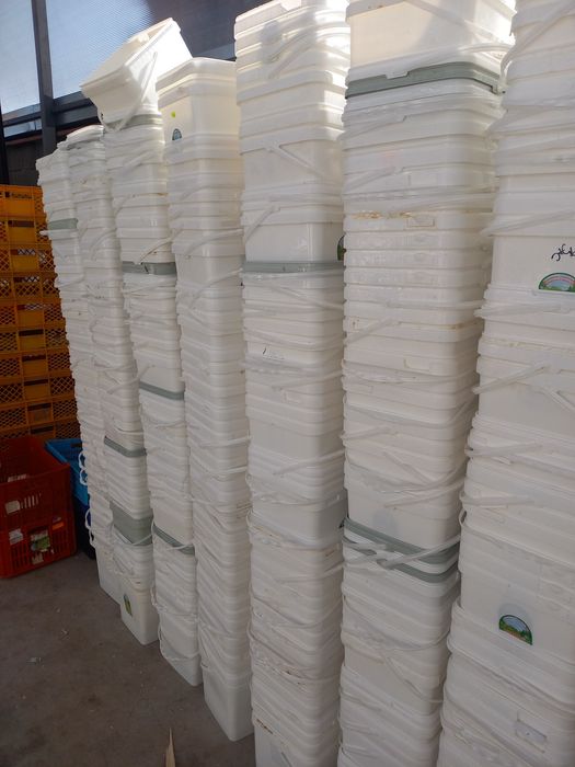 Кофи за сирене ..