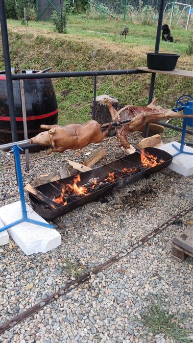 Rotisor Electric si manual