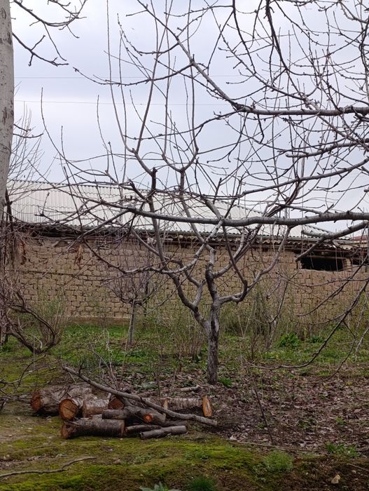 Uchaska sotiladi Yangi Toshkent Arzon