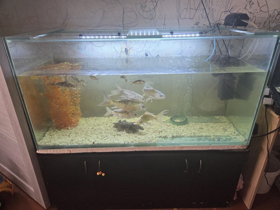Продам аквариум для рыб
