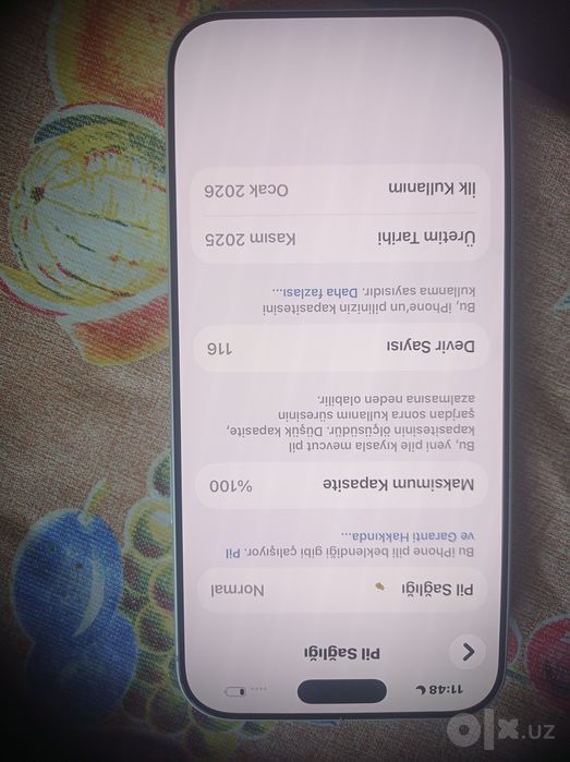 iPhone 17 pro max silver 256