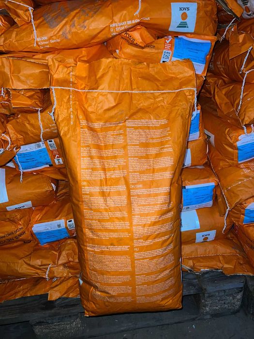 Seminte porumb KWS Nevo Initio Bird Protect