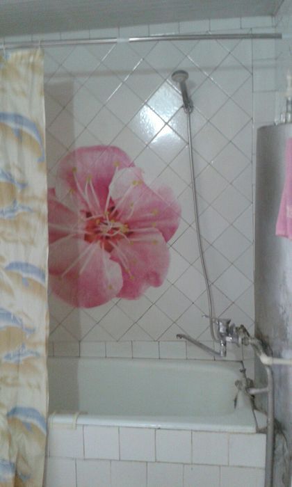 Uchastka sotilvitdi srochna