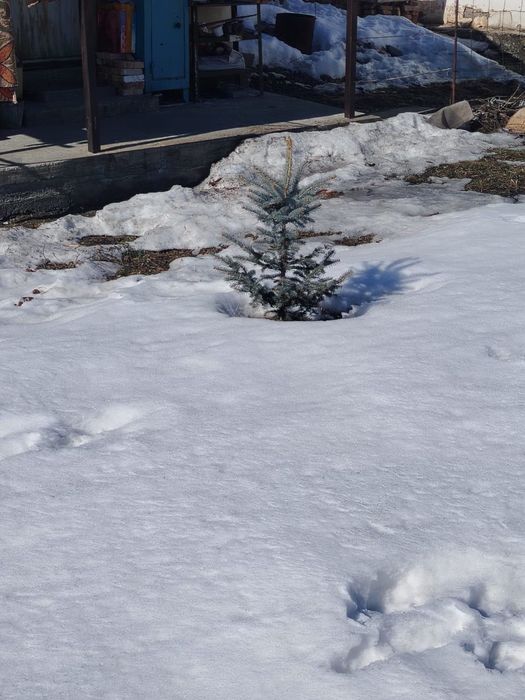 Продам Большой дом