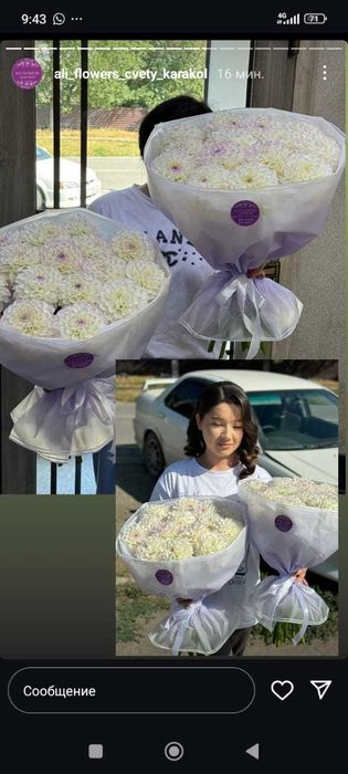 Продам клубни георгин Эвелина