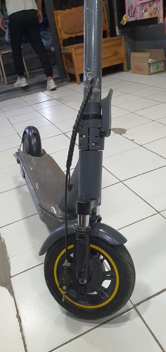 Xolati idial kelb korshilla mumkn