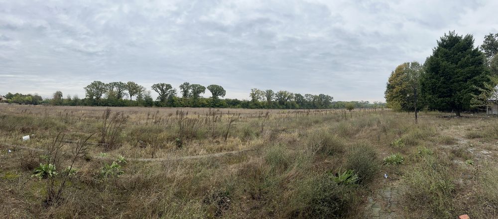 Teren 500mp Padurea Snagov/Complex Astoria