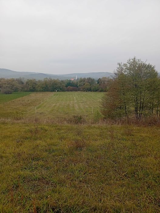 Teren de vânzare,zona Via Transilvanica,pret: 6 euro/m2