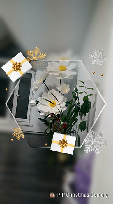 Цветок. Декор для офиса.