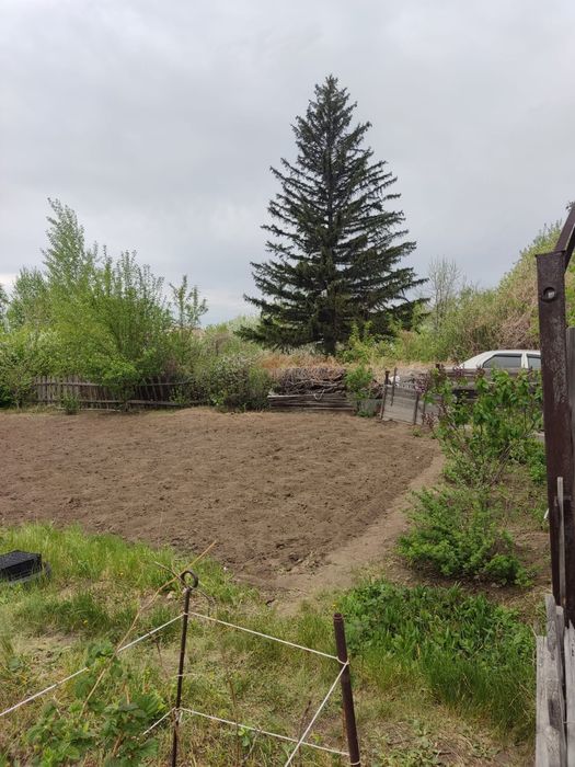 Продам дачу сад Здоровье