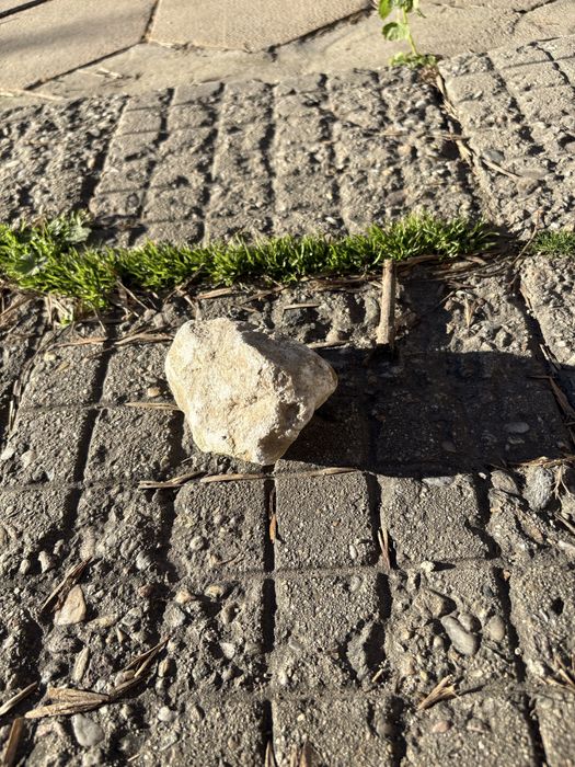 Уникален естествен камък – подходящ за декорация