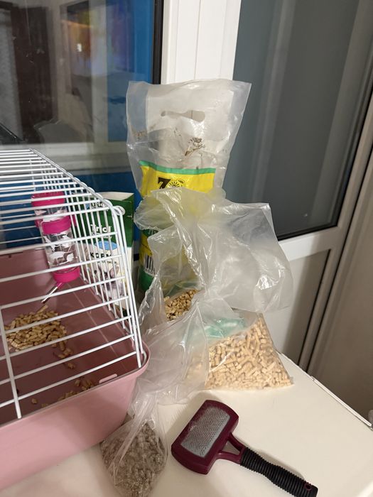 Продам декоративный кролик