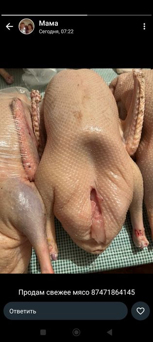 Свежие тушки гуся