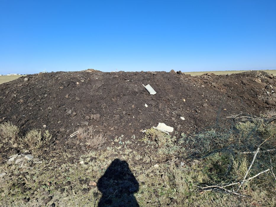 Науоз  қойдың  көңі