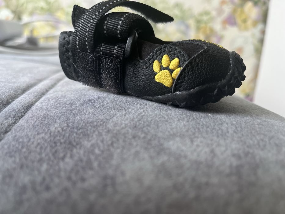 Обувь и носочки для собак