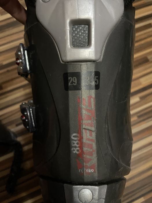 Clapari solomon comozi