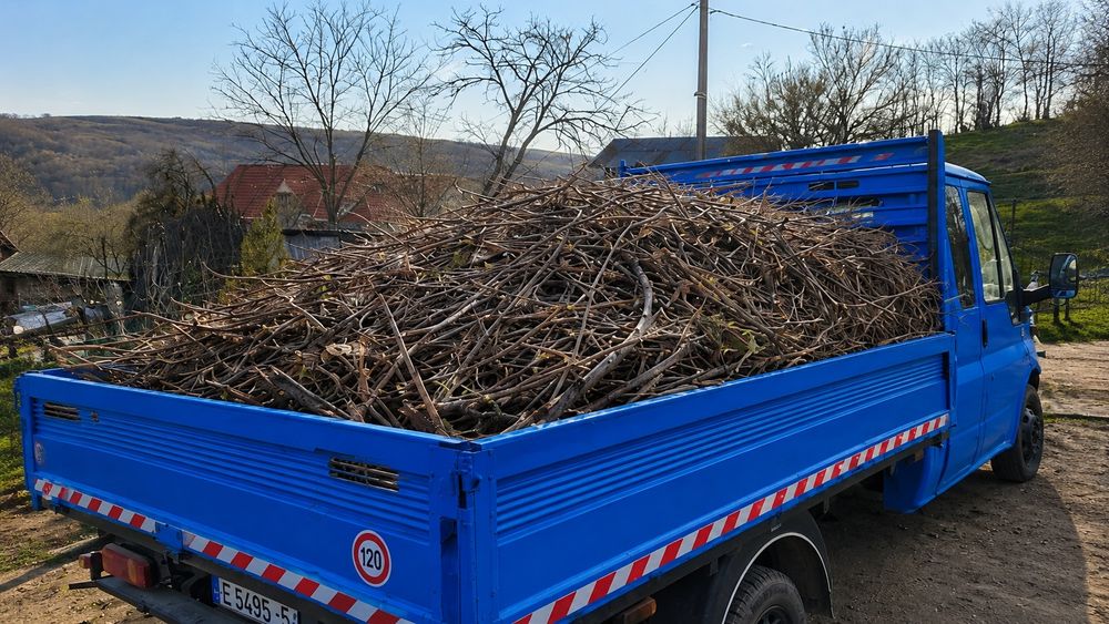 Servicii Debarasari Vegetale, Tuns Iarba,Erbicidat, Frezat