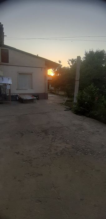 Kok terak avtodrom kocha 8 sotix