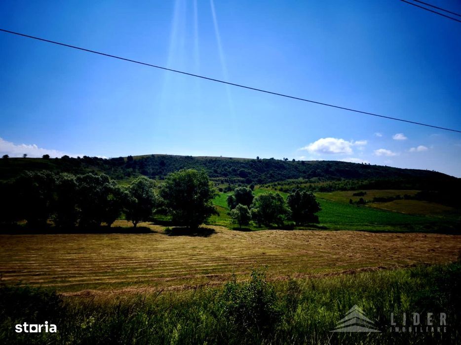 Teren 4501 mp intravilan Chinteni, Le1 | 15 min Cluj-Napoca